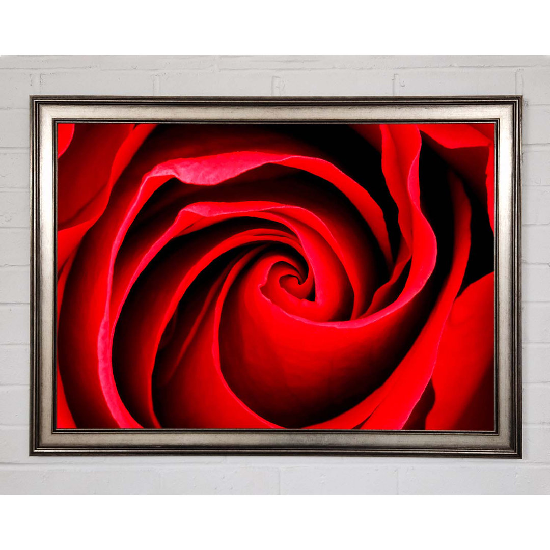 Gerahmtes Leinwandbild Red Rose Silk