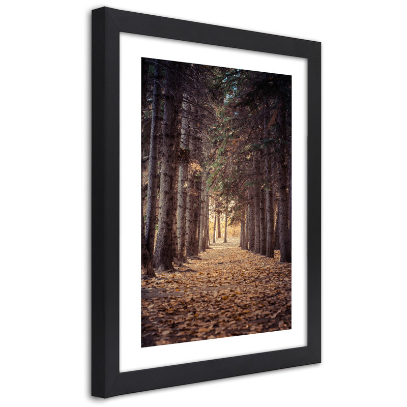 Forest In Autumn - Single Picture Frame Print, 30cm H x 20cm W, Black