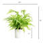 Faux Fern Plant in Ceramic Planter