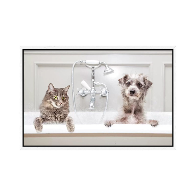 Dog And Cat In Bathtub Together by Susan Schmitz - Print on Canvas, White Framed, 66.04 cm H x 45.72 cm W
