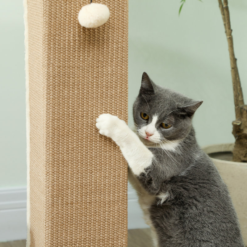 Grattoir pour chat 32 "avec chat en sisal beige
