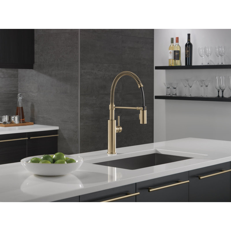 Antoni Pro Commercial Pull Down Sprayer Kitchen Sink Faucet, Champagne Bronze