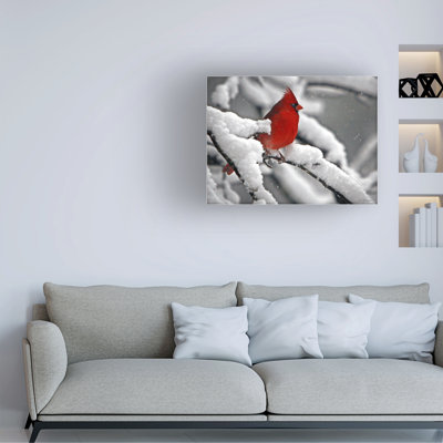 Art mural sur toile tendue - art mural J.D. McFarlan «Cardinal In Snow» pour le salon, la chambre à coucher ou le bureau - 18 x 24