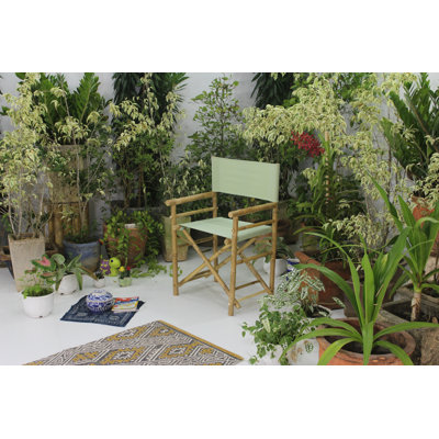 Laseter Folding Director Chair
