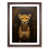 Walnut Framed