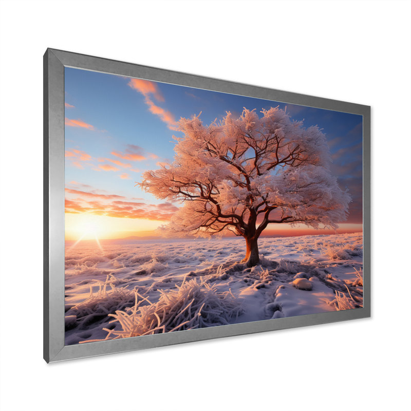 «Pink Tree Winters Sunrise Glow», impression d'art mural de paysages, Cadre simple argenté, H 30 po x l 40 po x P 1,5 po
