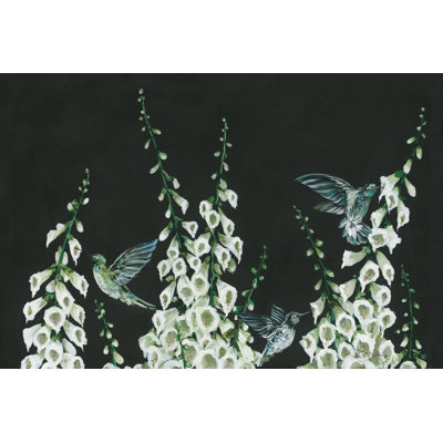 Colibris - impression