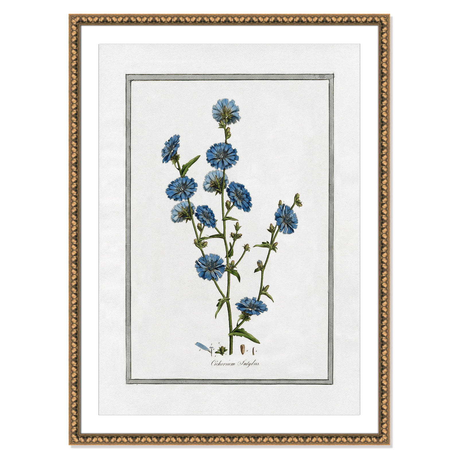 Colombe "Soft Botanical I" Print, 30.5" W x 42.5" H, Gold Bead Framed