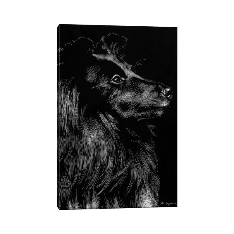 Canine Scratchboard VI by Julie T. Chapman - Wrapped Canvas Print, 101.6 cm H x 66.04 cm W x 3.175 cm D
