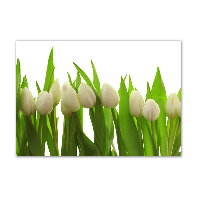 White Tulips - Wrapped Canvas Print