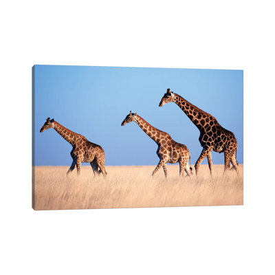 " Giraffe Trio Crossing Plain " by Mogens Trolle