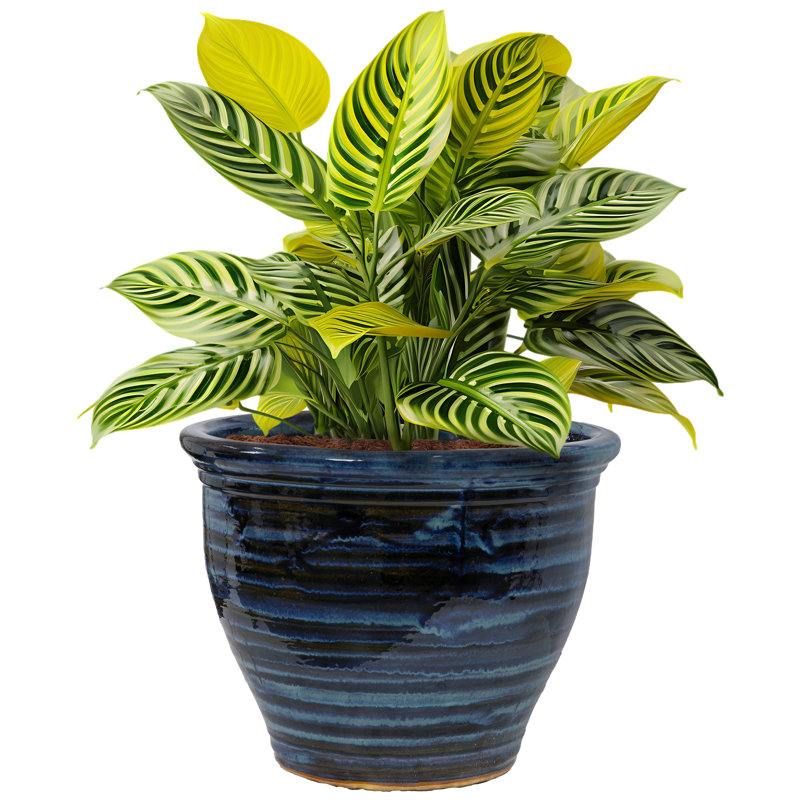Berlina Round Imperial Ceramic Outdoor Planter