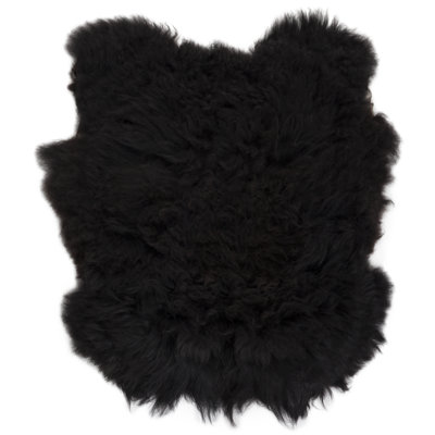 Novelty Icelandic Novelty 2' X 3' Sheepskin Area Rug