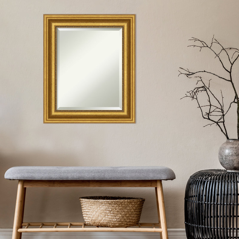 Miroir mural biseauté Rizzi Parlor, 26 po x 22 po