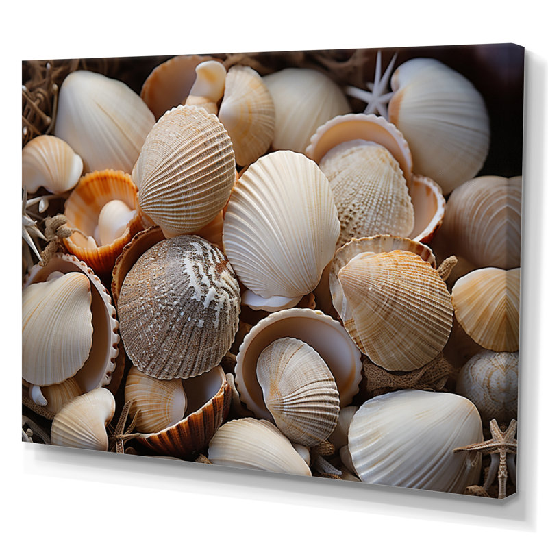 «Beach Photo Seashell Symphony IX - Nautique et plage, reproduction d'art sur toile, Toile tendue, 12" H x 20" W