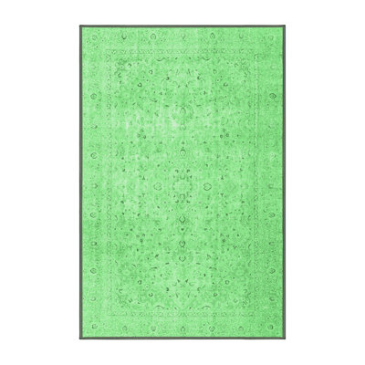 Oliveros Oriental Indoor Rug
