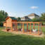 Poulailler en bois 120 po avec teck brun 120 po-991233605