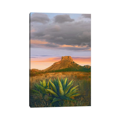 Lechuguilla Agave with Casa Grande in the Distance, Big Bend National Park, Texas 1 Piece Wrapped Canvas Wall Art