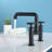 Widespread 2-handle Bathroom Faucet