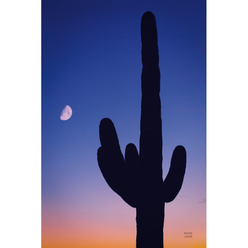 Candy Rock Desert by Nathan Larson - Wrapped Canvas Painting, 46cm H x 30cm W x 3.8cm D