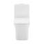 Toilette carrée à chasse d'eau 1,1 / 1,6 GPF une pièce à cuve brute de 14 po Concorde-130447053