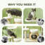 Arbre à chat 31 po avec poteaux à griffer, plateforme et deux lits confortables, velours de quenouille naturelle, convient à 1 tour pour 2 chats jusqu'à 11 lb