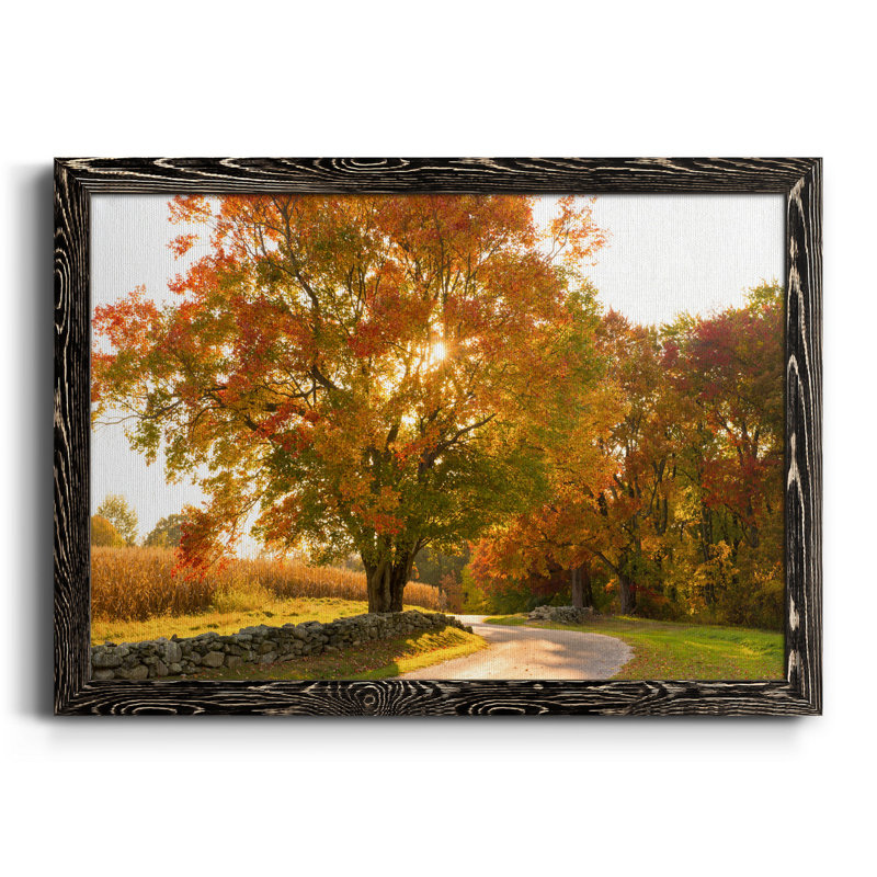 «Maple Tree Drive» - Toile encadrée de qualité supérieure - prête à être accrochée, H 20 po x l 17 po x P 1,5 po, Noir