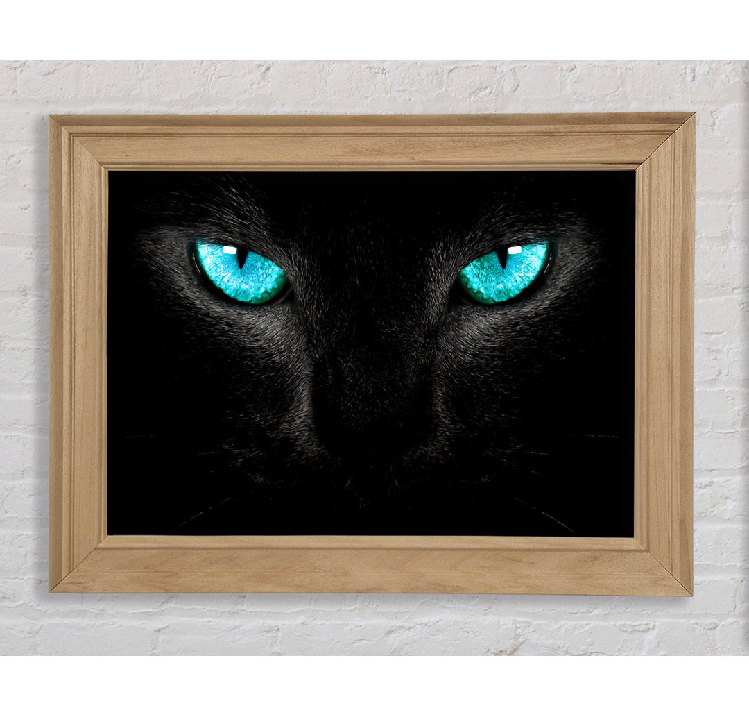 Blauäugige Katze - Bilderrahmen Kunstdrucke