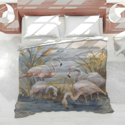 Édredon flamants dans l'eau