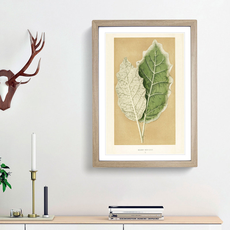 Nightshade Leaves by Benjamin Fawcett - Picture Frame Painting Print, 65cm H x 48cm W x 2cm D, Oak Framed