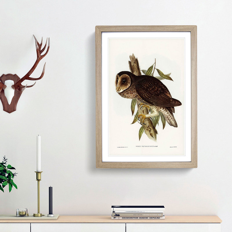 Sooty Owl by Elizabeth Gould - Picture Frame Painting Print, 36cm H x 27cm W x 2cm D, Oak Framed