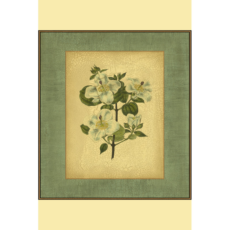 Spa Blue Curtis (NA) IV - Wrapped Canvas Art Prints, 46cm H x 30cm W x 3.8cm D