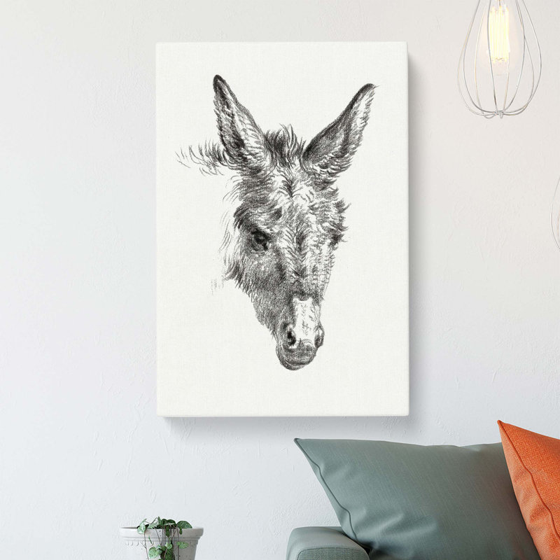 The Sketch Of A Donkey by Jean Bernard - Wrapped Canvas Print, 50.8 cm H x 35.6 cm W