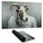 Cashmere goat - 14.00"x24.25" Desk mat