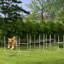8 pièces de dressage pour chien agile, hauteurs ajustables, sac de transport, barres à sauter blanches