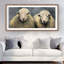 Wool Sheeps - Best Selling-537230068