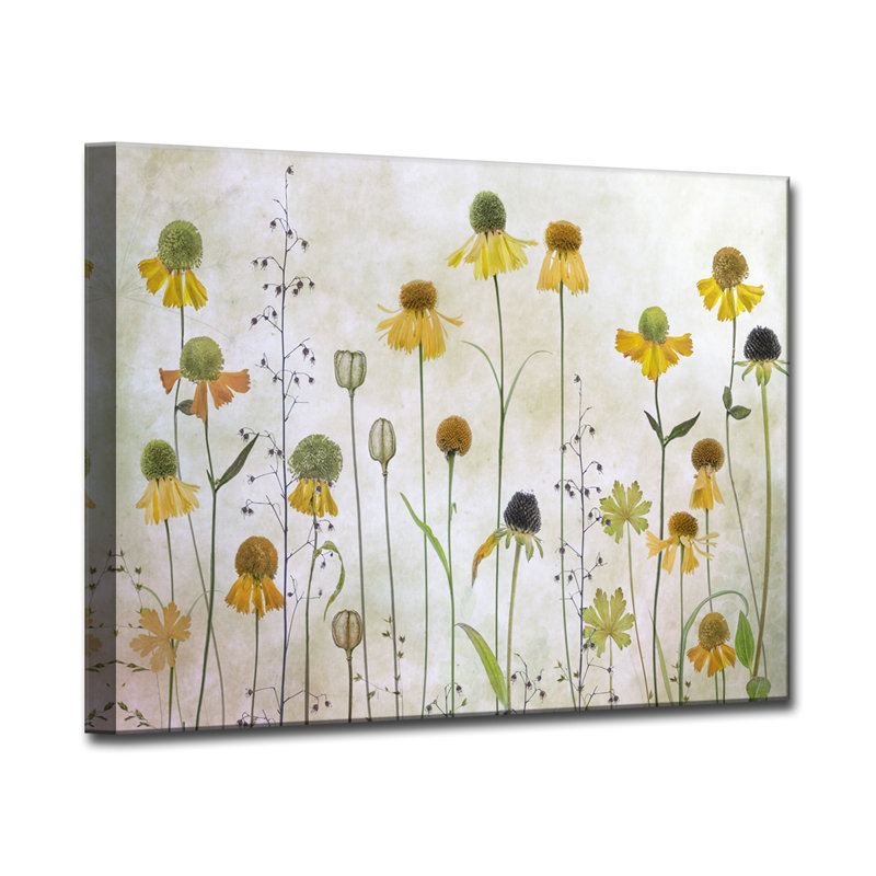" Helenium ", 12" H x 16" W x 1.5" D