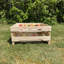 Harji Wood Food Storage Container