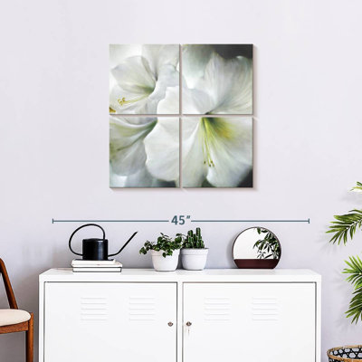 Harnek White Amaryllis II