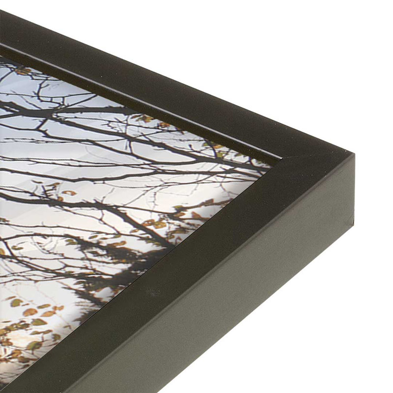 «Dawn's Embrace» par Lori Deiter, reproduction d'art, Black, 12 W x 8 H, Framed Print
