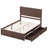 Adainville 50"H Modern Queen Size Solid Wood Bed with 2 Storage Drawers, Espresso-887246135-887246137