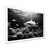 White Single Picture Frame