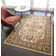 Gloucester Gilded Loom Oriental Cream Area Rug