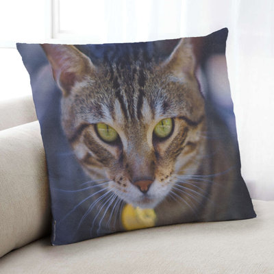 Throw Pillow
