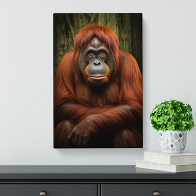 Orangutan Gestural Art No.2 - Wrapped Canvas