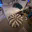 Photos des clients 1 de 1