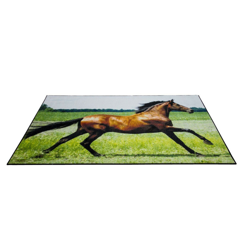 Bang Animal Print Area Rug, Rectangle 160 x 230 cm