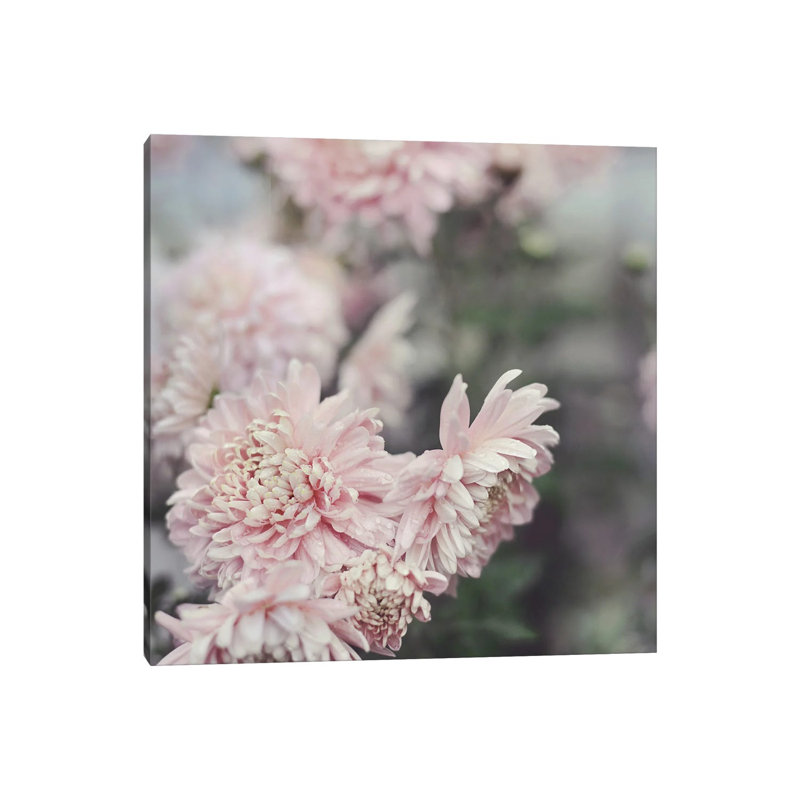 Evening Blooms by Sarah Gardner - Print on Canvas, Wrapped Canvas, 45.72 cm H x 45.72 cm W x 1.91 cm D