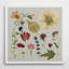 Pressed Assortment I 'Print-25250993-40496960