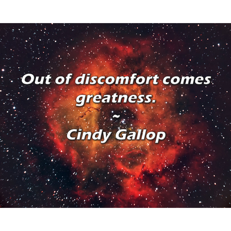 Cindy Gallop Citation: De l'inconfort vient la grandeur.